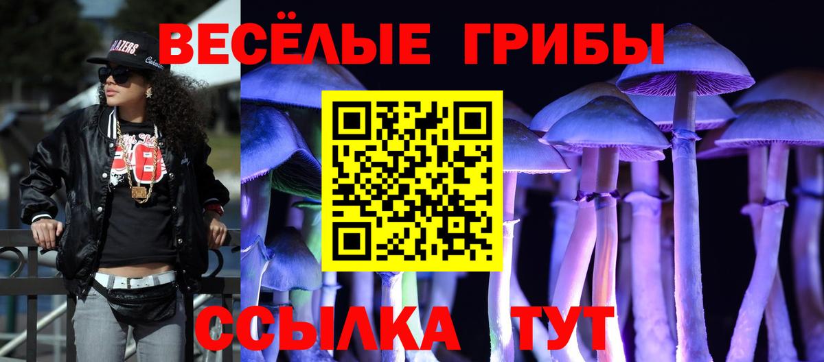 Галлюциногенные грибы мицелий Лесной