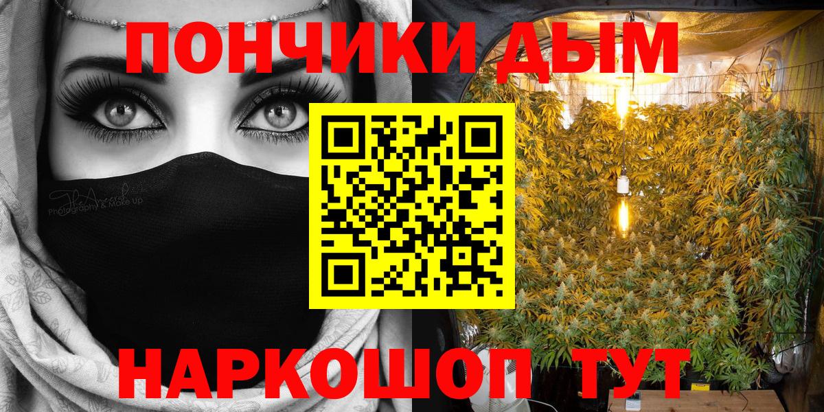 Шишки марихуана конопля Лесной